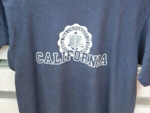 STANDARD CALIFORNIA × CHAMPION (スタンダード カリフォルニア×チャンピオン) 半袖Ｔシャツ　カレッジ　岐阜県各務原市　古着ブランド買取販売ストックヤード